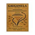 Battle of Gaugamela 331 BCE — Persian and Macedonian Battle Map Fine Art Poster